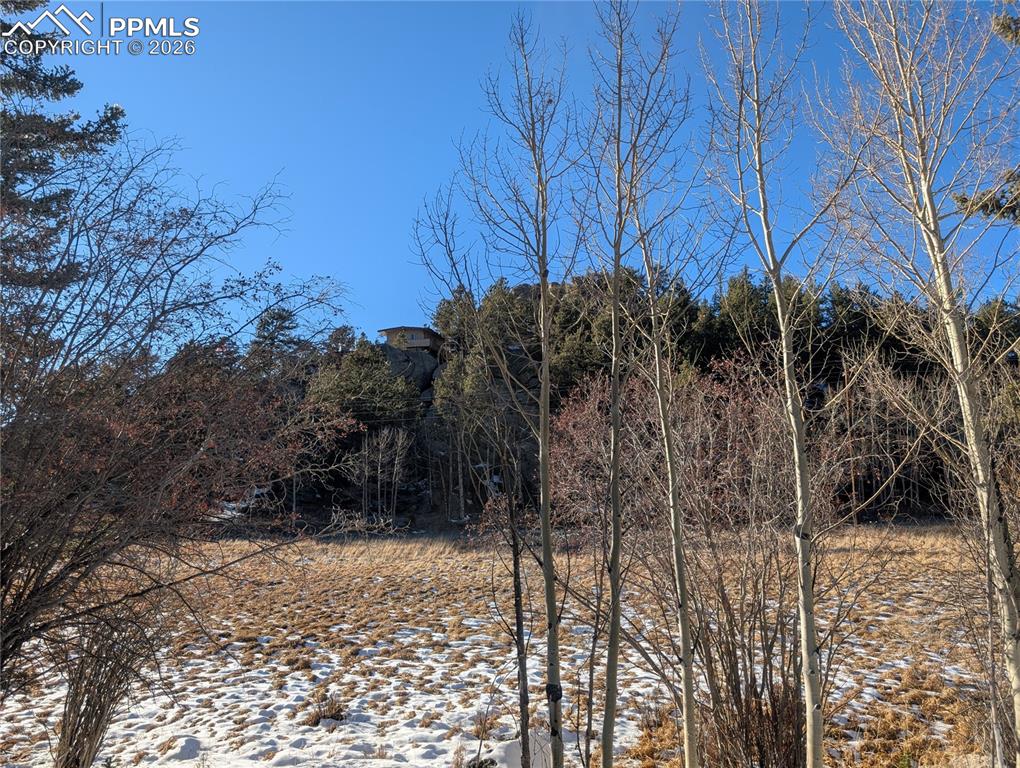 386 Brook Drive Lake George CO 80827