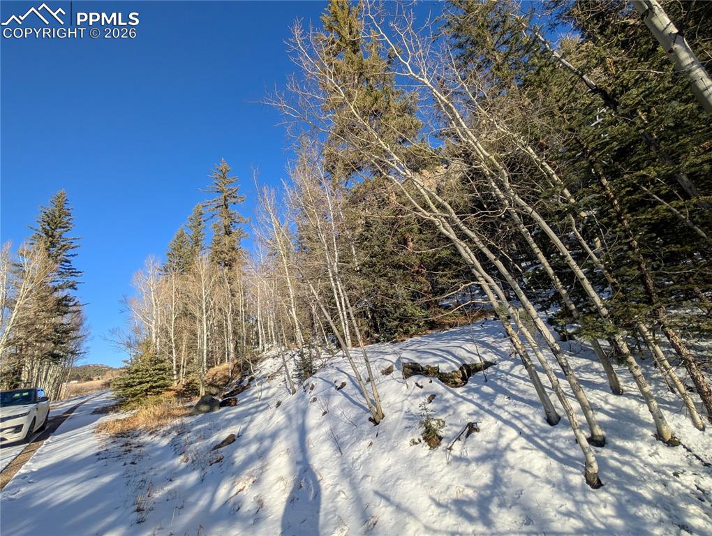 386 Brook Drive Lake George CO 80827
