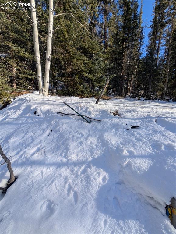 386 Brook Drive Lake George CO 80827