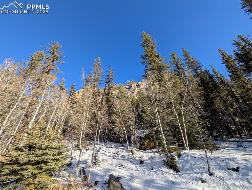 386 Brook Drive Lake George CO 80827