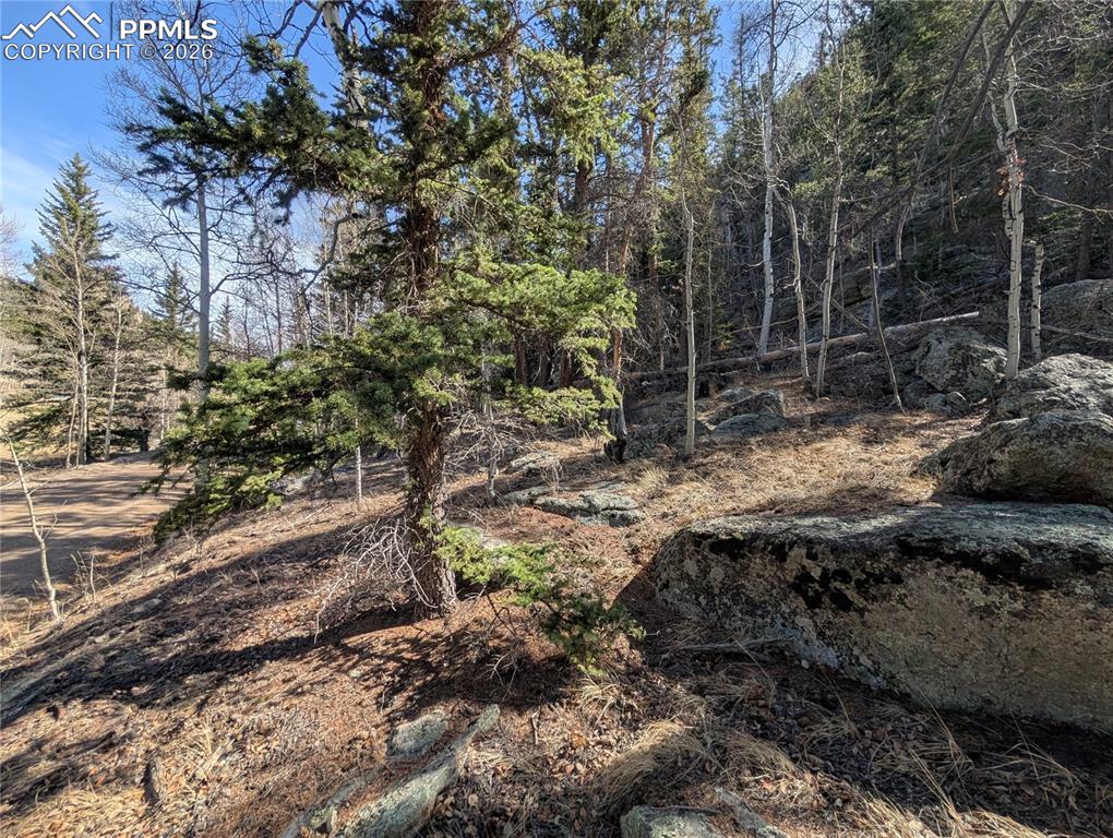 386 Brook Drive Lake George CO 80827