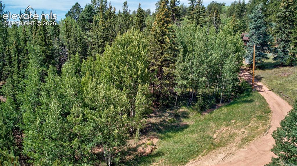 158 Rattler Court Cripple Creek CO 80813