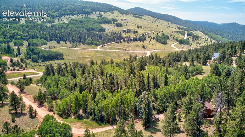 158 Rattler Court Cripple Creek CO 80813