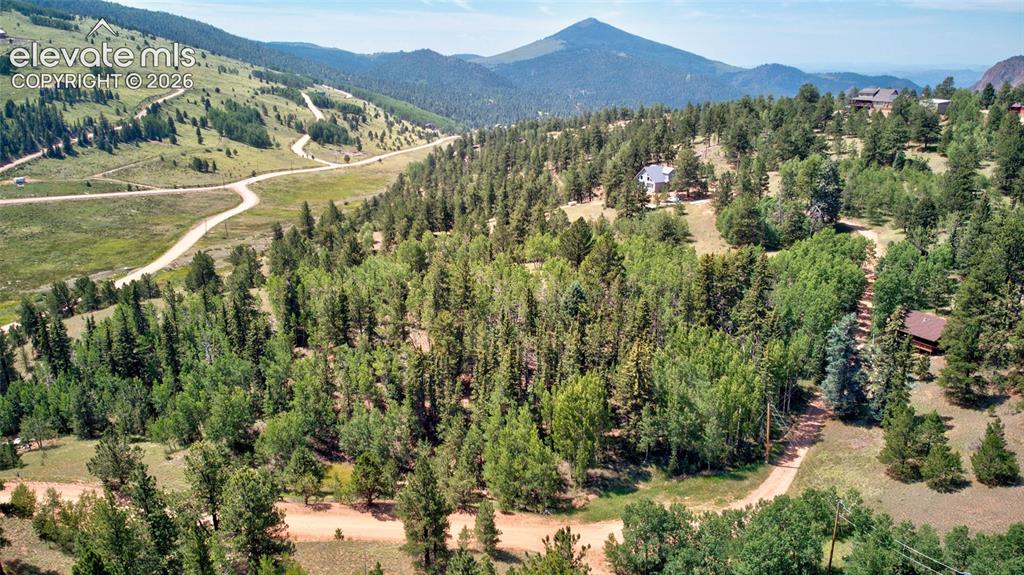 158 Rattler Court Cripple Creek CO 80813