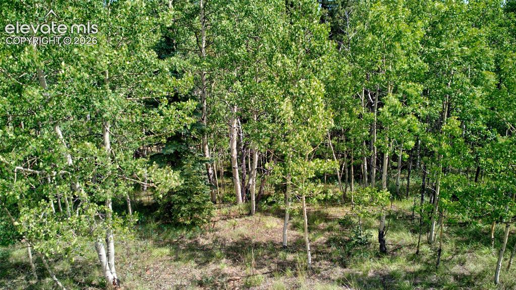 158 Rattler Court Cripple Creek CO 80813