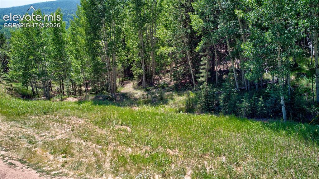 158 Rattler Court Cripple Creek CO 80813