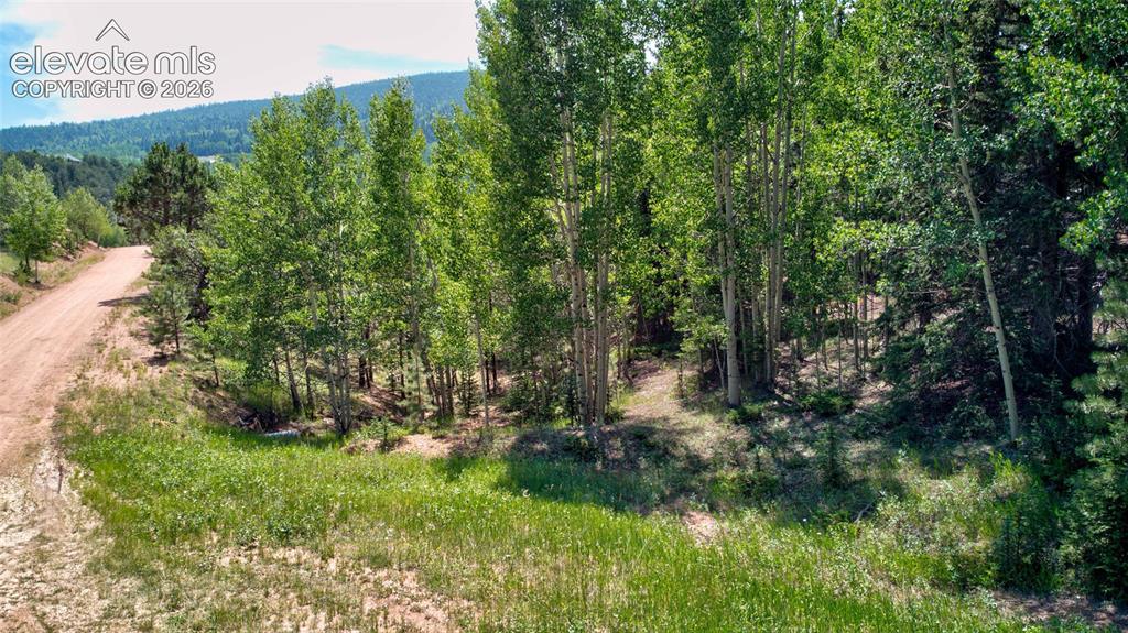 158 Rattler Court Cripple Creek CO 80813