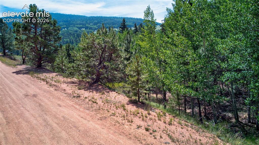 158 Rattler Court Cripple Creek CO 80813