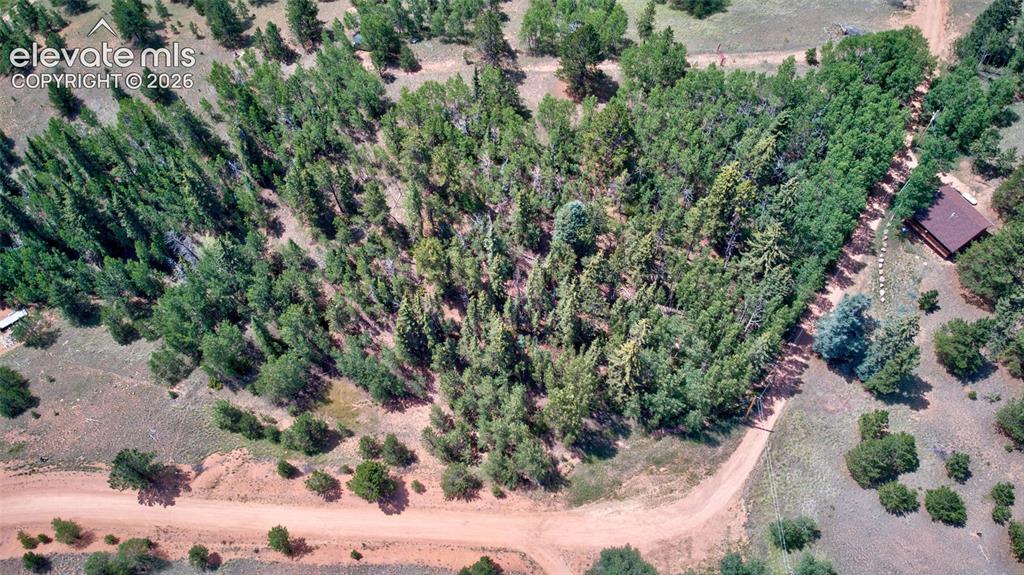 158 Rattler Court Cripple Creek CO 80813
