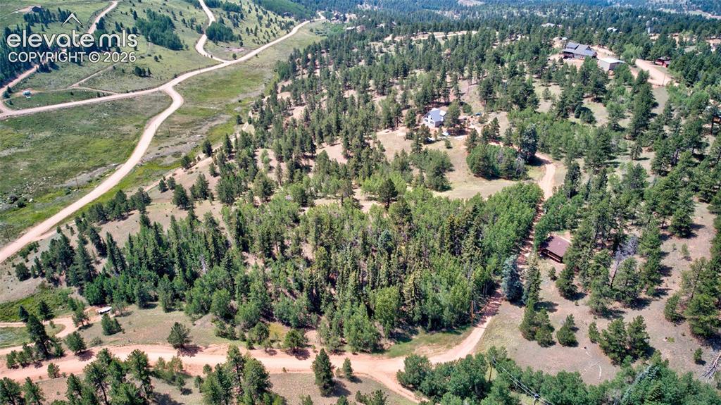 158 Rattler Court Cripple Creek CO 80813