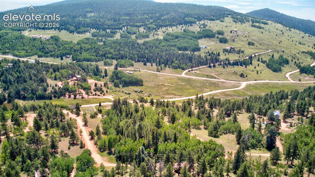 158 Rattler Court Cripple Creek CO 80813