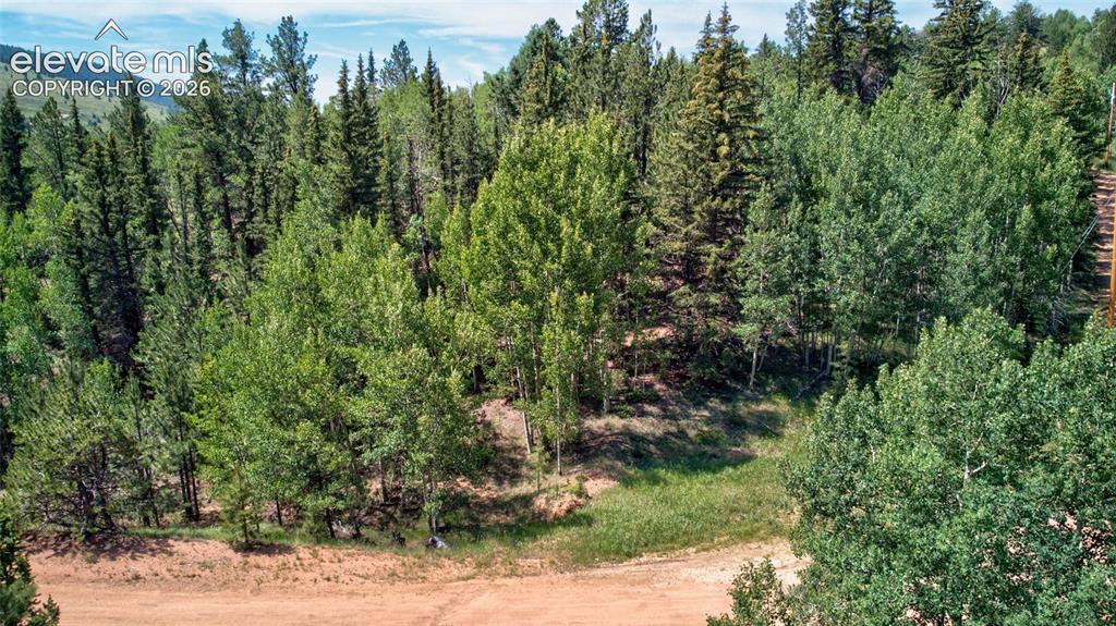 158 Rattler Court Cripple Creek CO 80813