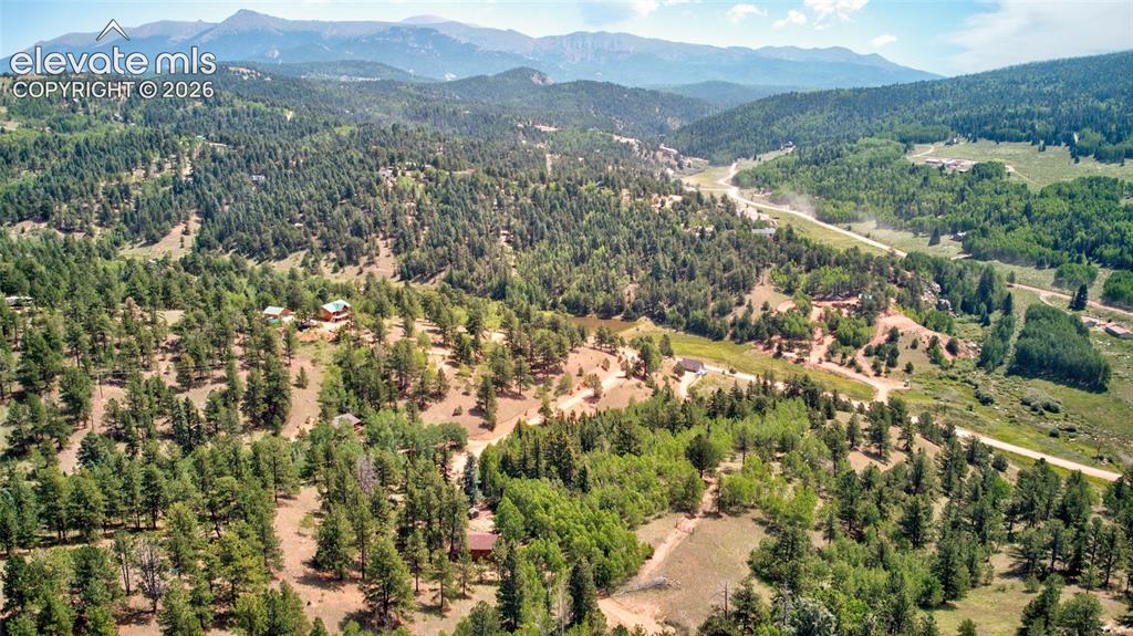 158 Rattler Court Cripple Creek CO 80813