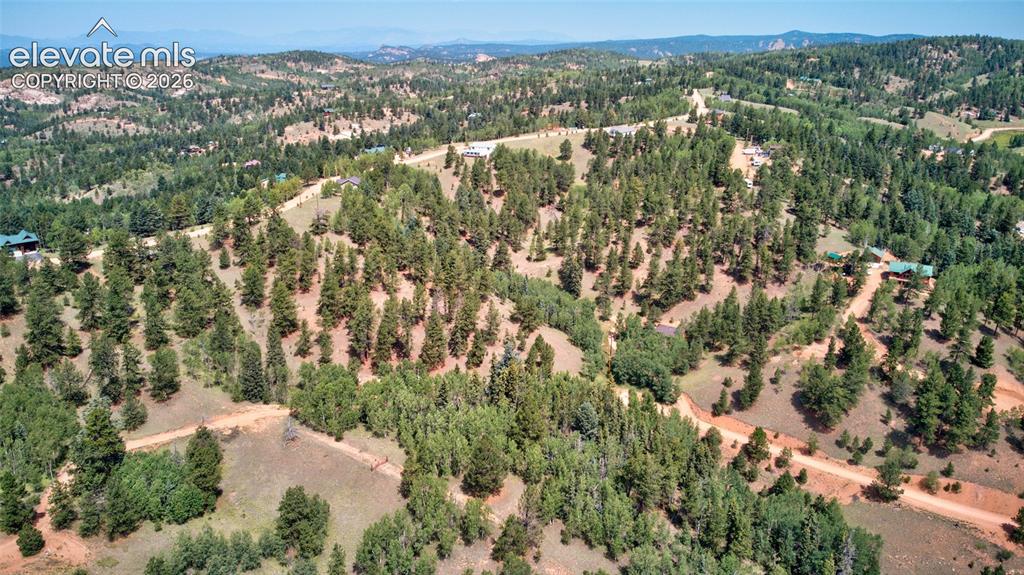 158 Rattler Court Cripple Creek CO 80813