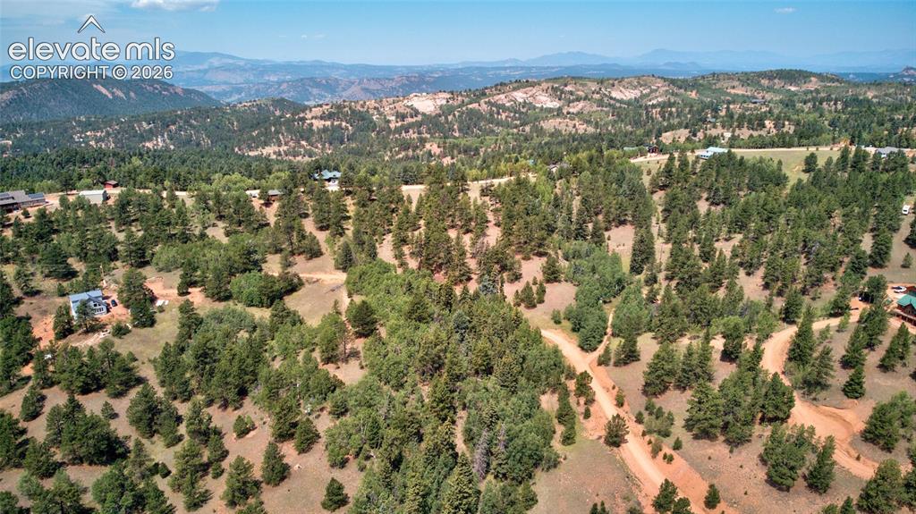 158 Rattler Court Cripple Creek CO 80813