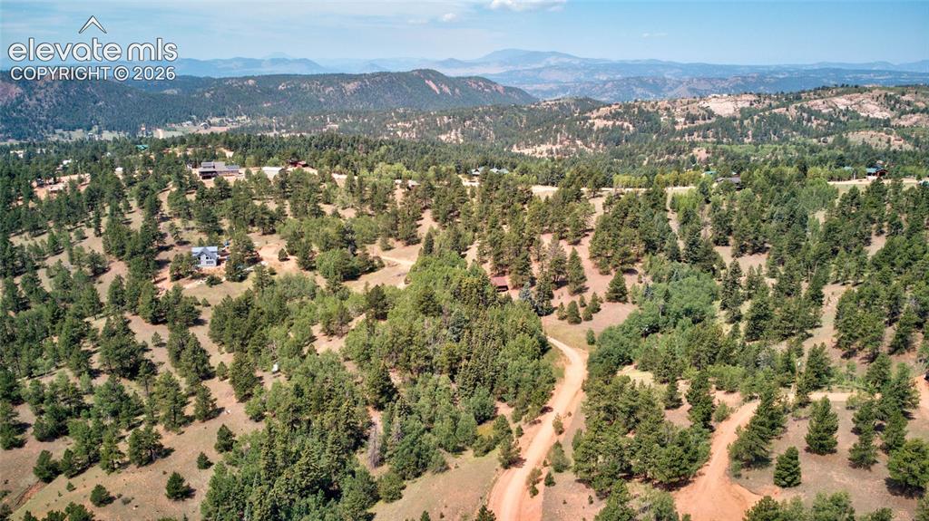 158 Rattler Court Cripple Creek CO 80813