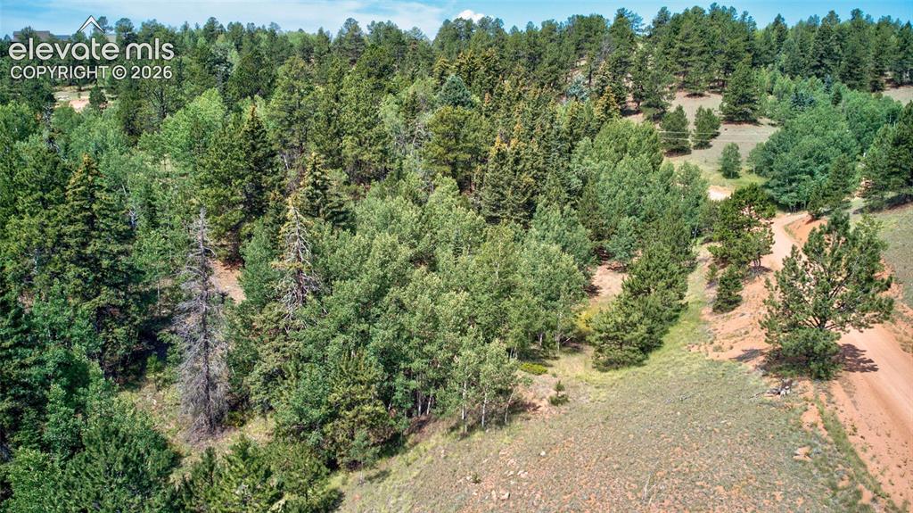 158 Rattler Court Cripple Creek CO 80813