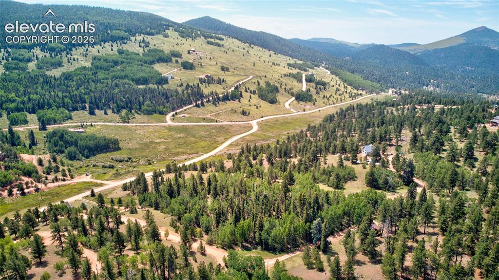 158 Rattler Court Cripple Creek CO 80813