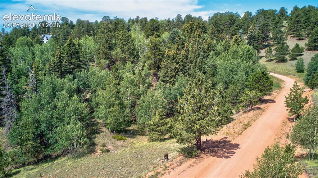 158 Rattler Court Cripple Creek CO 80813