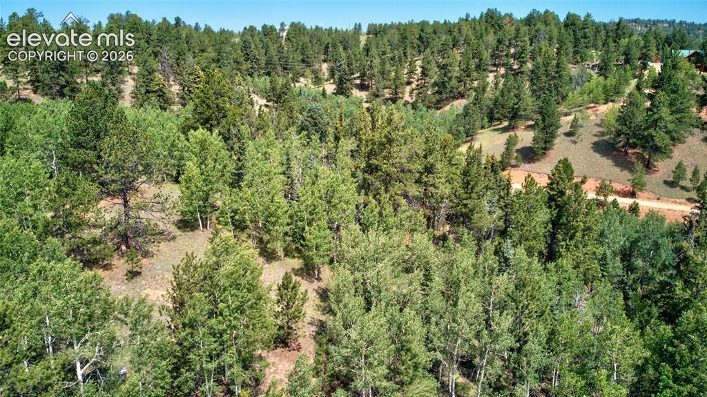 158 Rattler Court Cripple Creek CO 80813