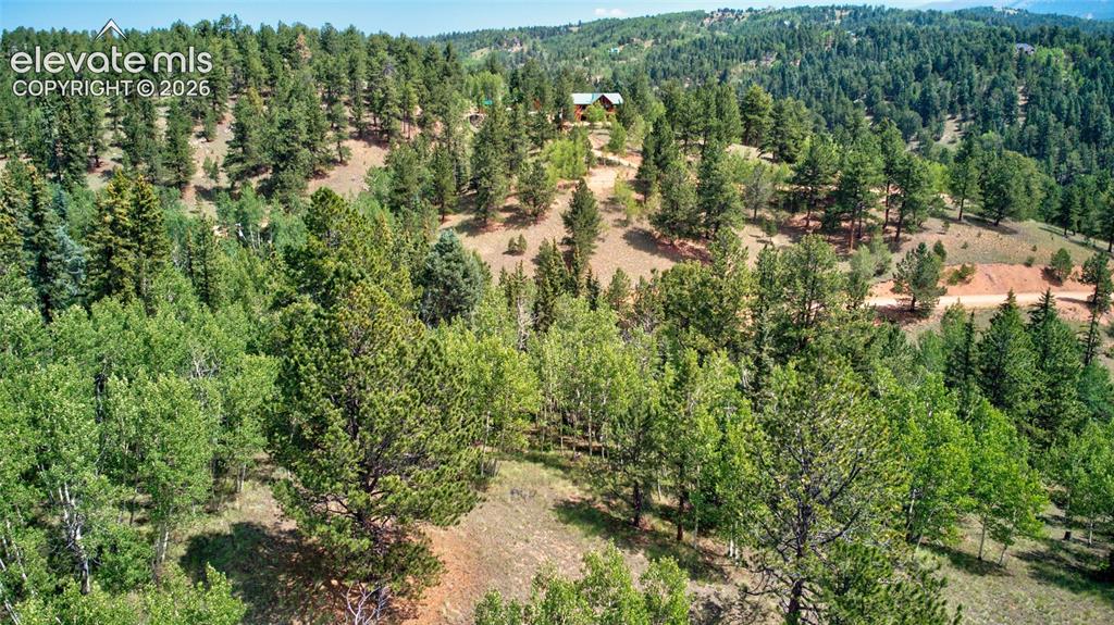 158 Rattler Court Cripple Creek CO 80813