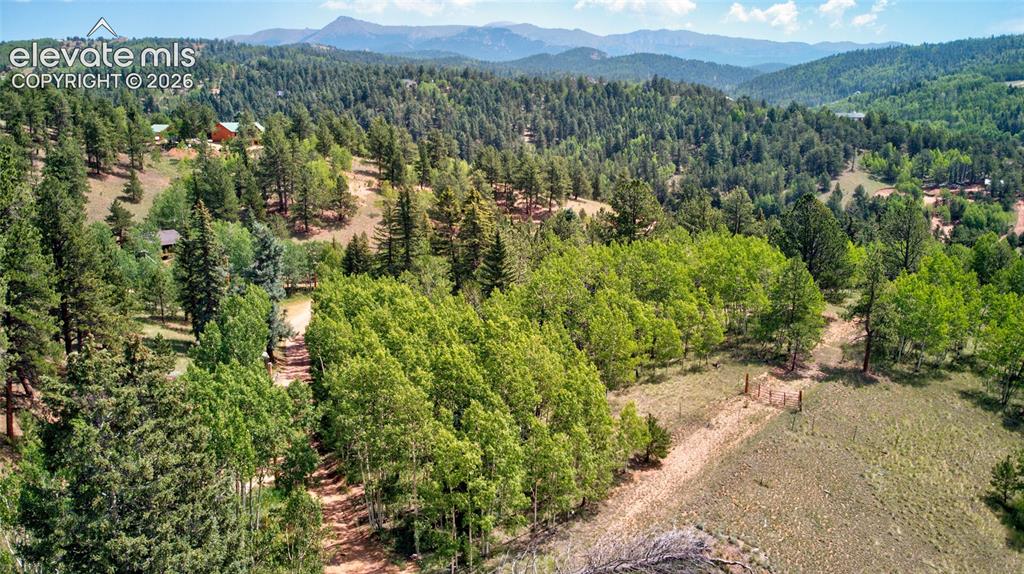 158 Rattler Court Cripple Creek CO 80813