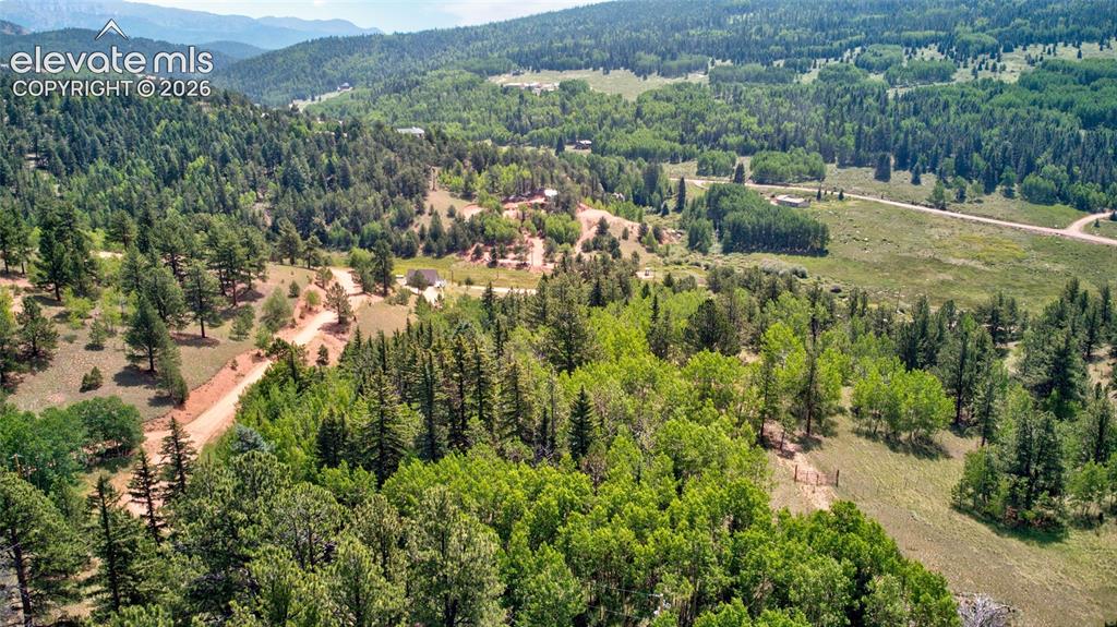 158 Rattler Court Cripple Creek CO 80813