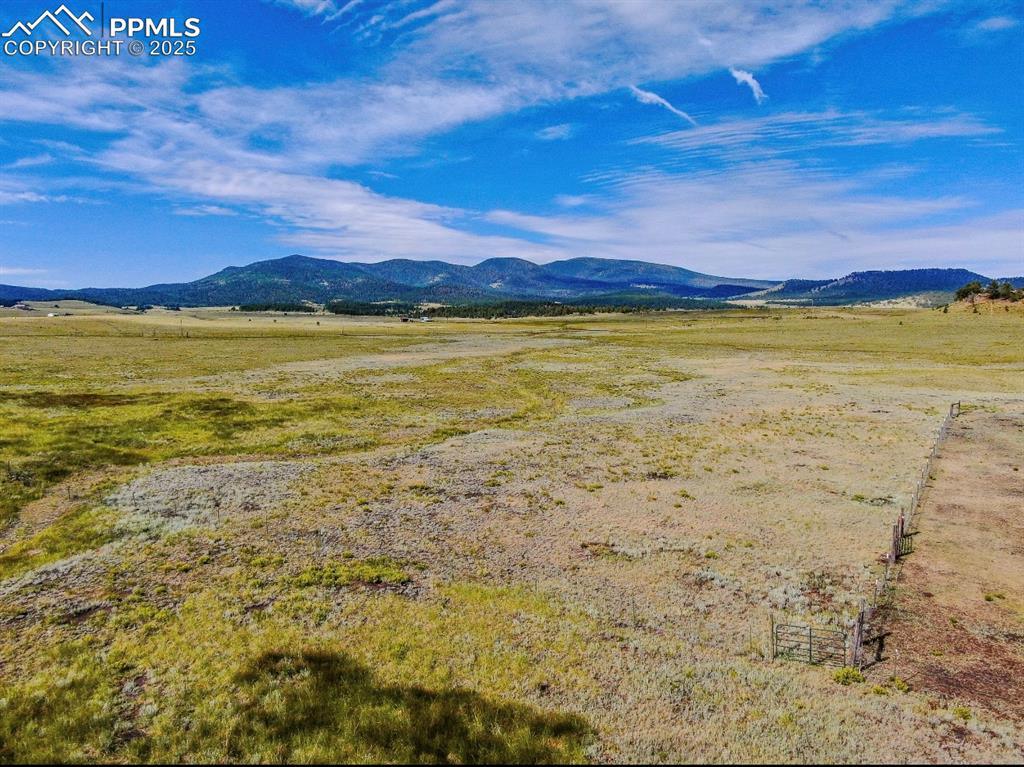 281 County Road 98 Florissant CO 80816