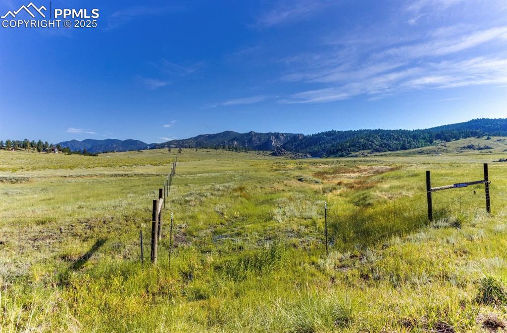 281 County Road 98 Florissant CO 80816