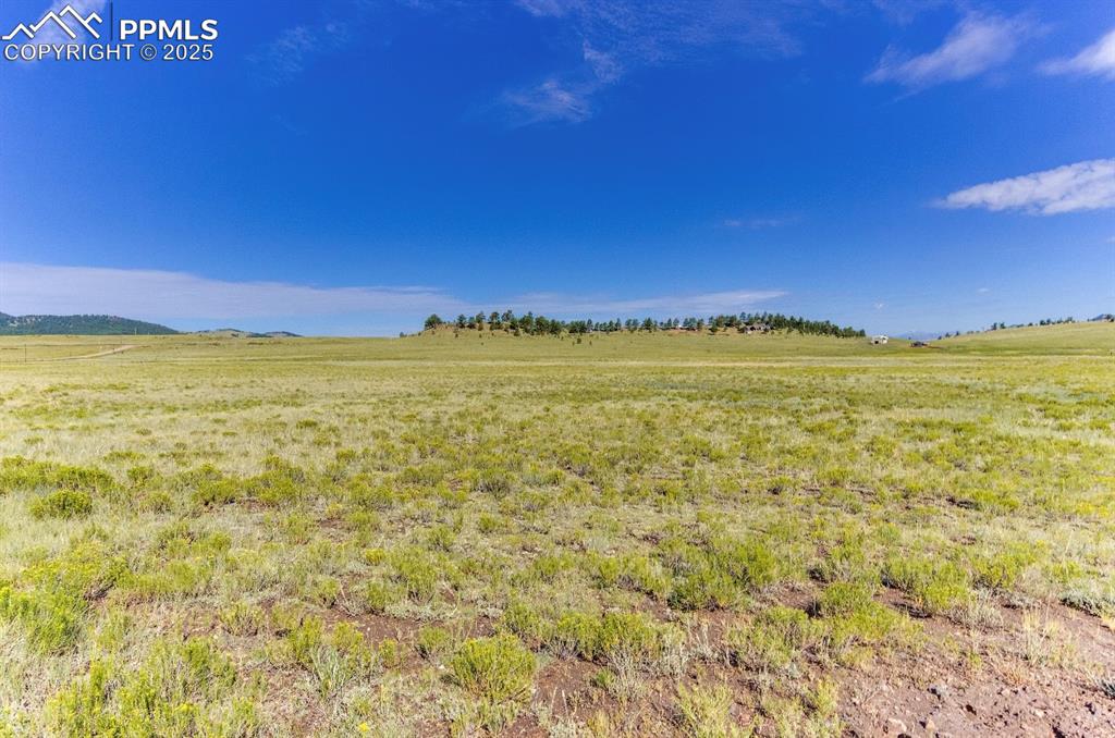 281 County Road 98 Florissant CO 80816