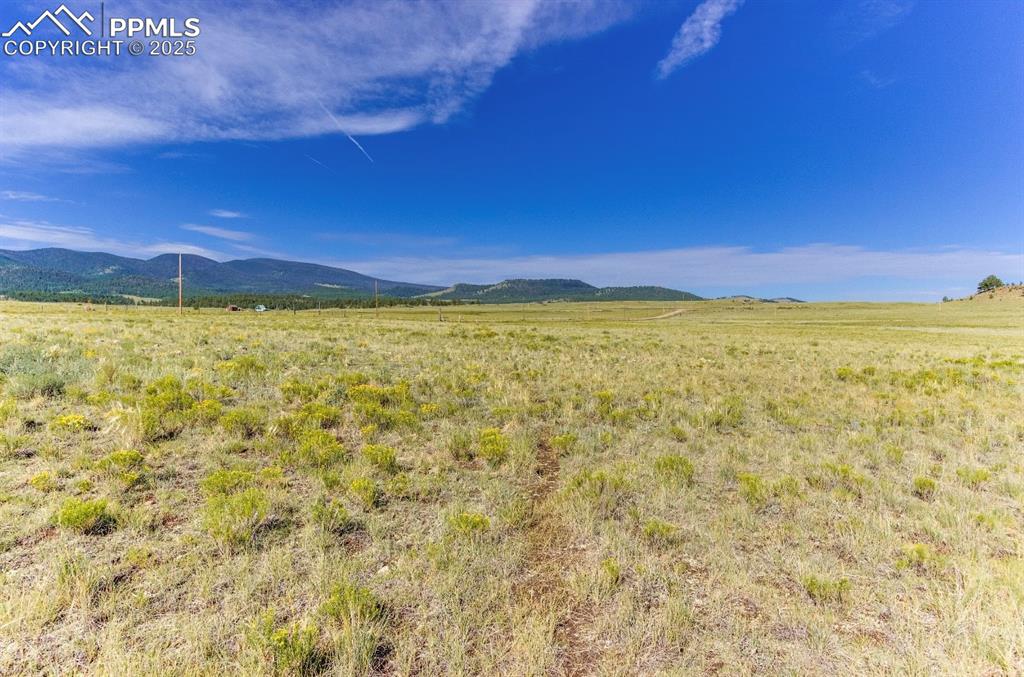 281 County Road 98 Florissant CO 80816