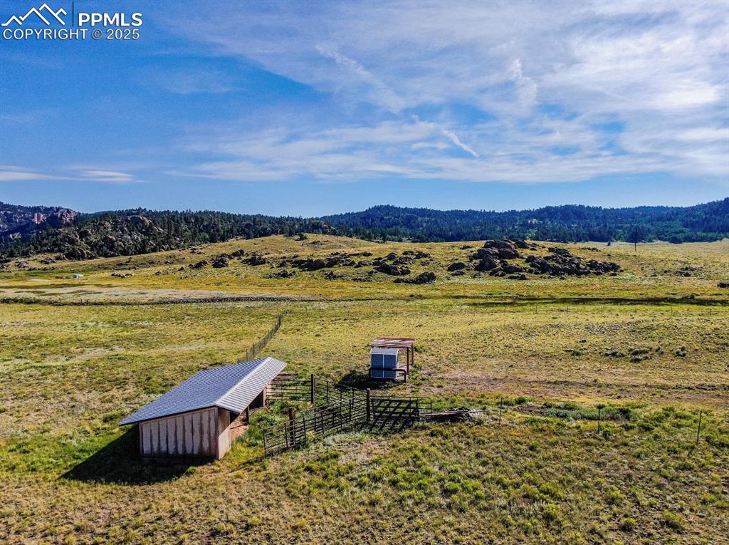 281 County Road 98 Florissant CO 80816