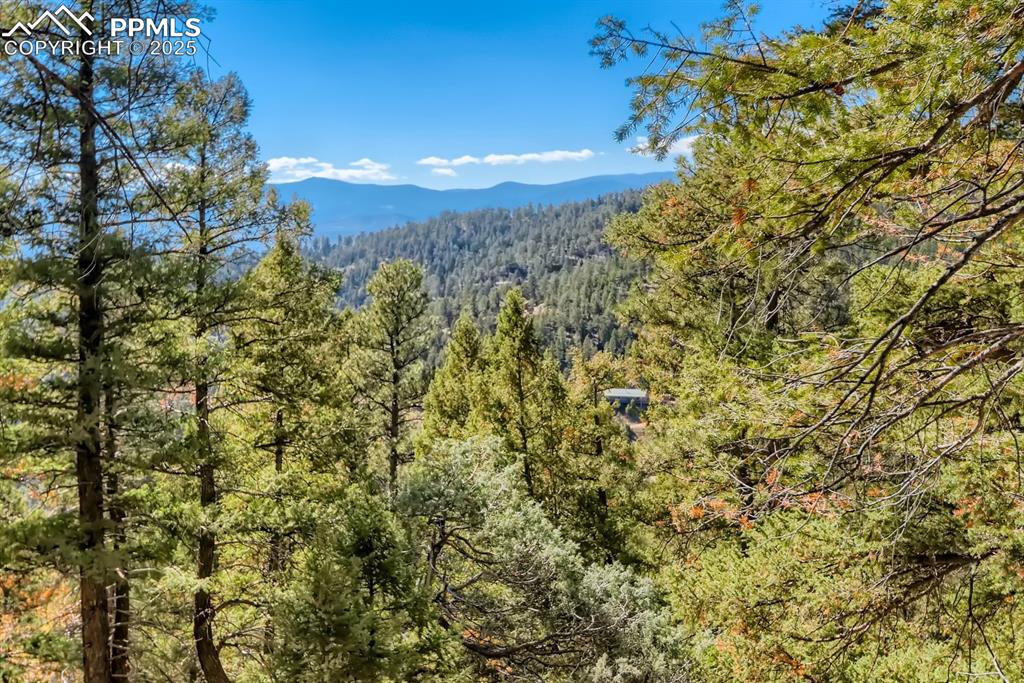 0 Elsie Road Conifer CO 80433