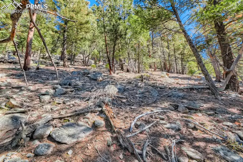 0 Elsie Road Conifer CO 80433