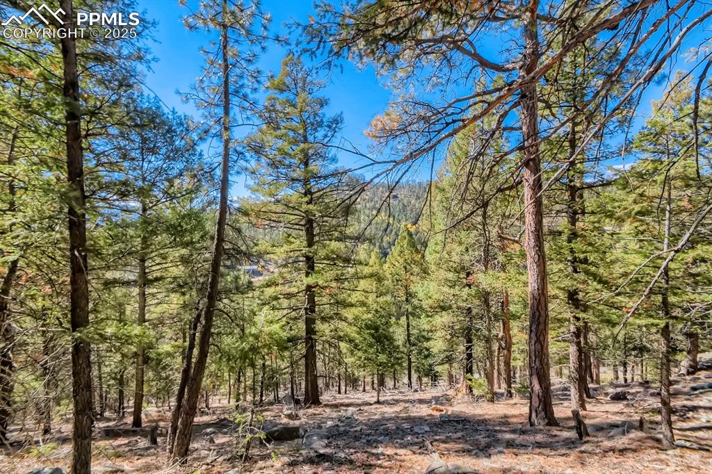 0 Elsie Road Conifer CO 80433