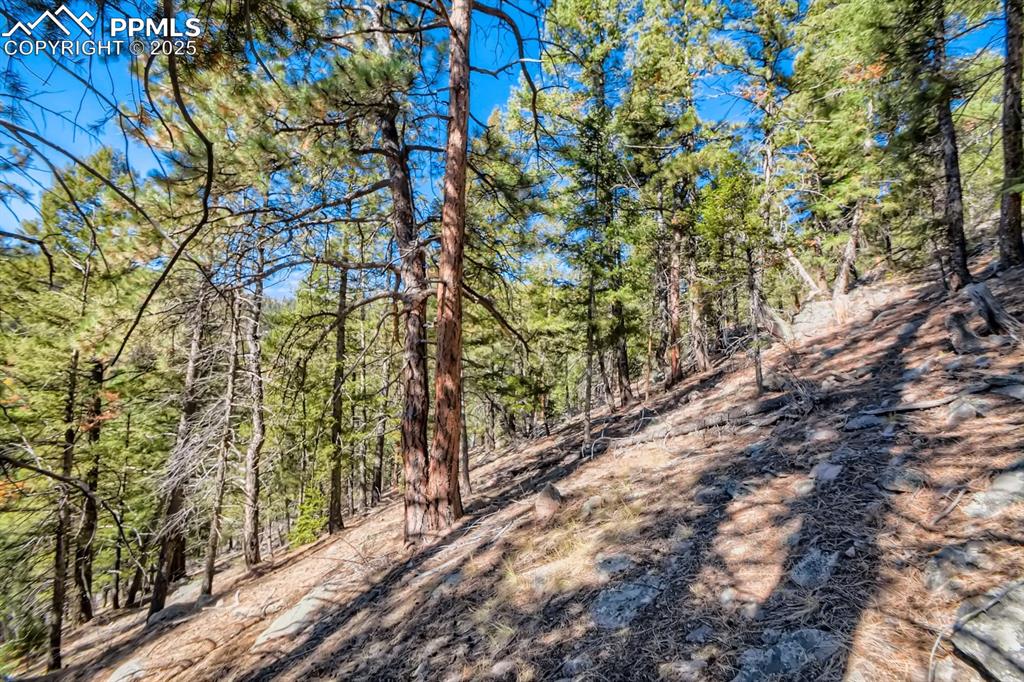 0 Elsie Road Conifer CO 80433