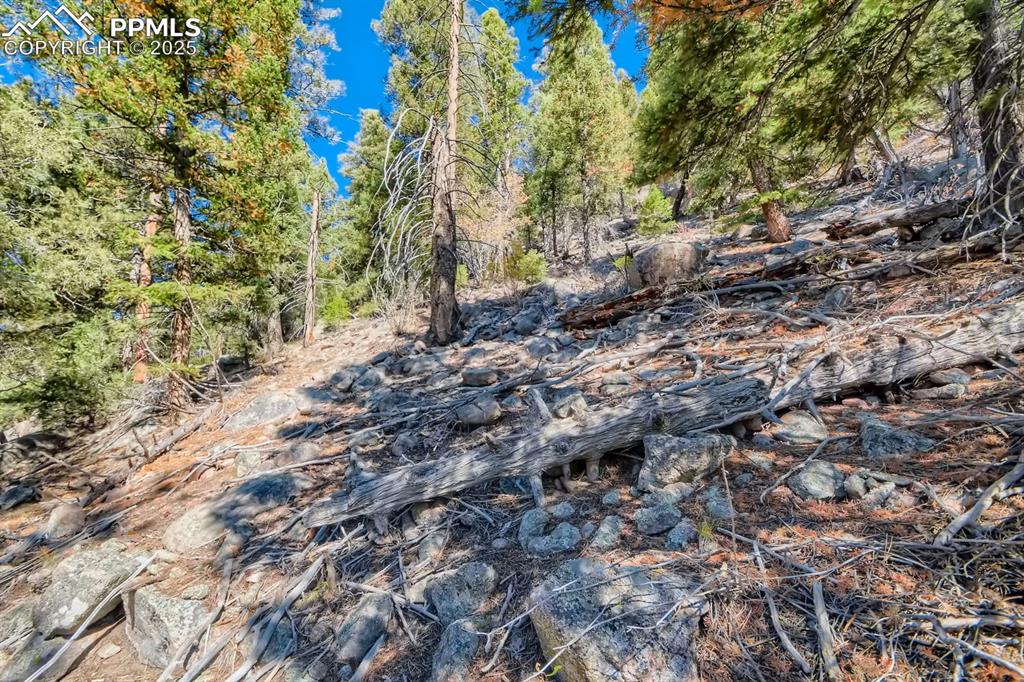0 Elsie Road Conifer CO 80433