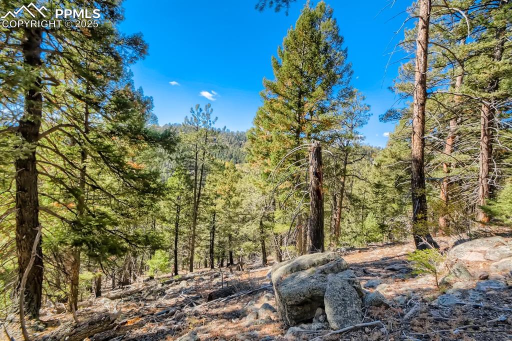 0 Elsie Road Conifer CO 80433
