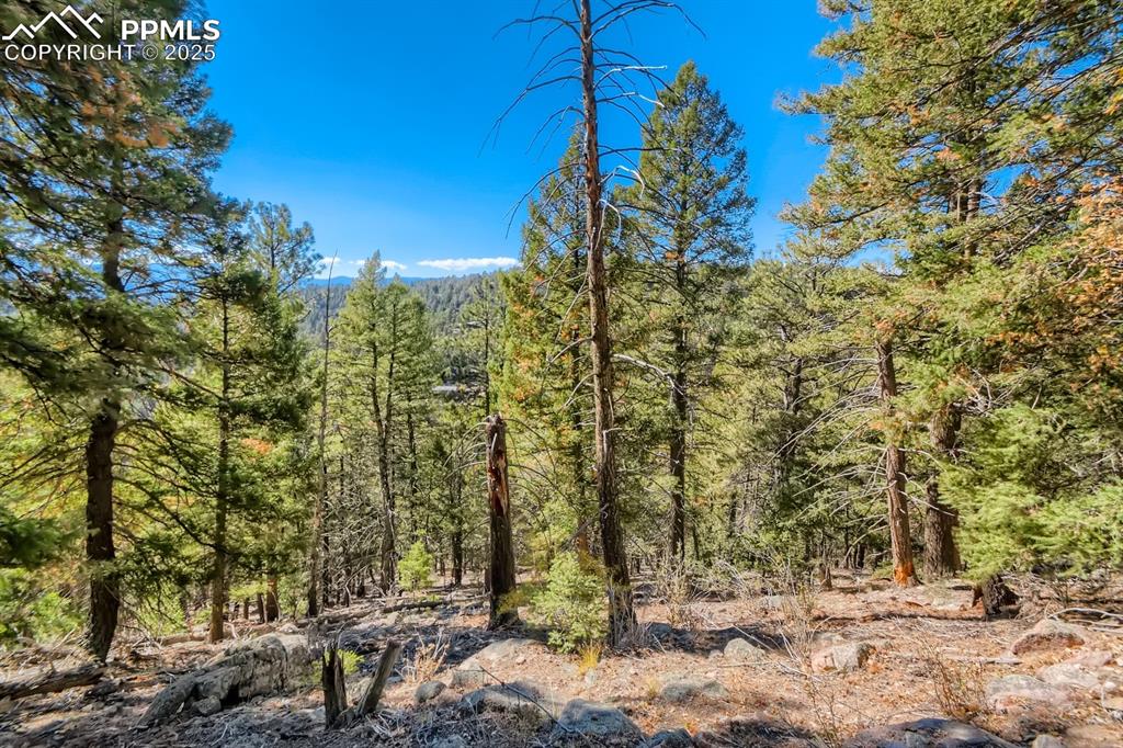0 Elsie Road Conifer CO 80433