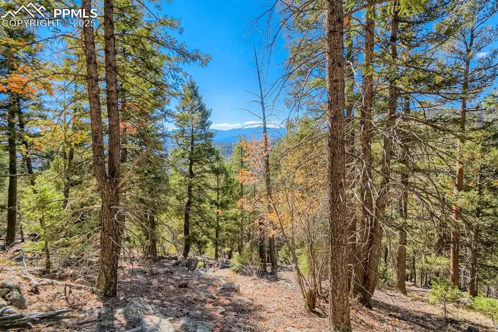 0 Elsie Road Conifer CO 80433