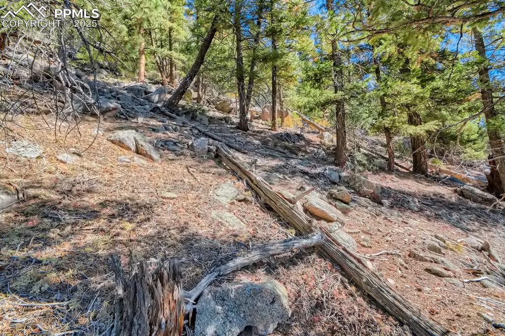 0 Elsie Road Conifer CO 80433