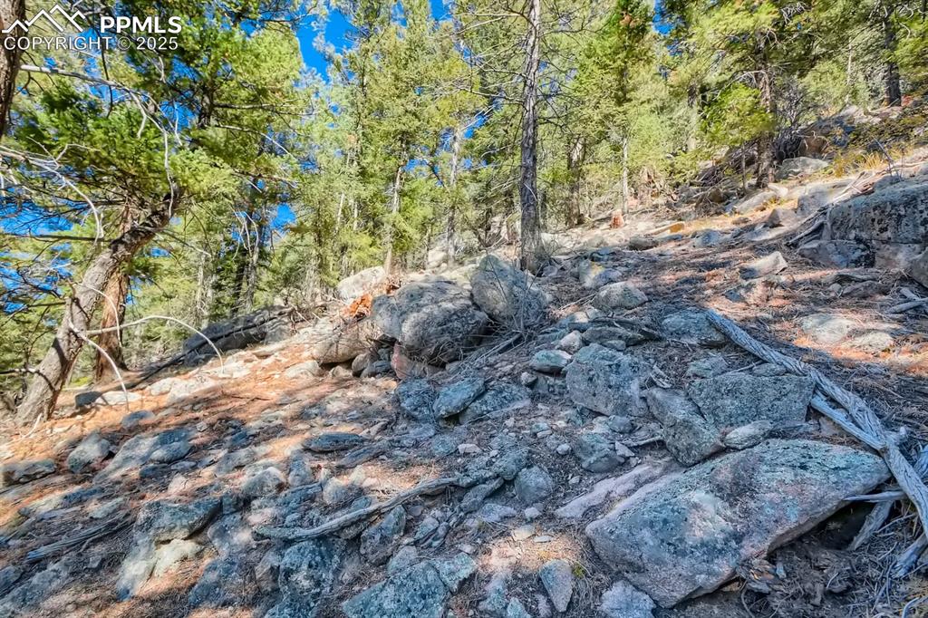 0 Elsie Road Conifer CO 80433