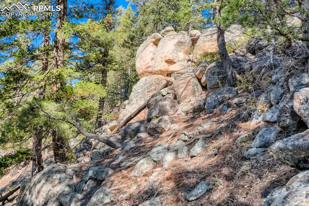 0 Elsie Road Conifer CO 80433