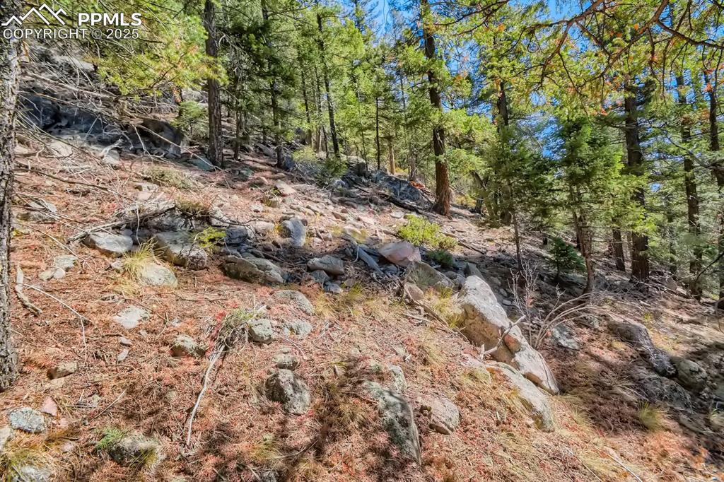 0 Elsie Road Conifer CO 80433