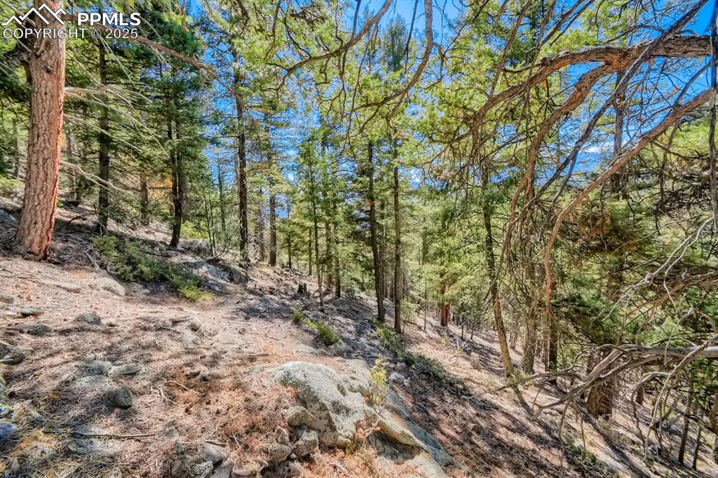 0 Elsie Road Conifer CO 80433