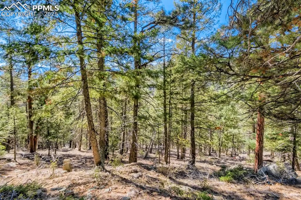 0 Elsie Road Conifer CO 80433