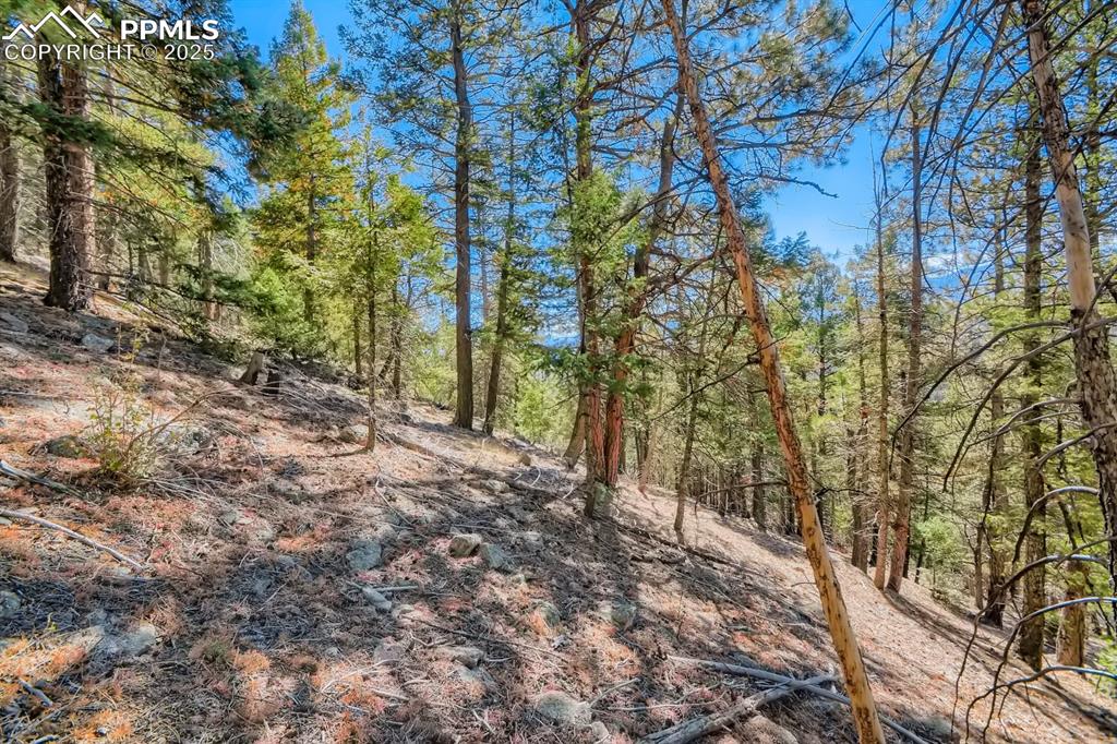 0 Elsie Road Conifer CO 80433