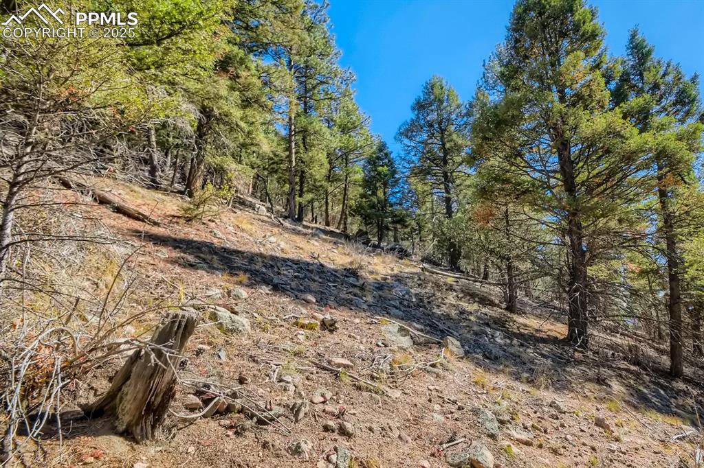 0 Elsie Road Conifer CO 80433