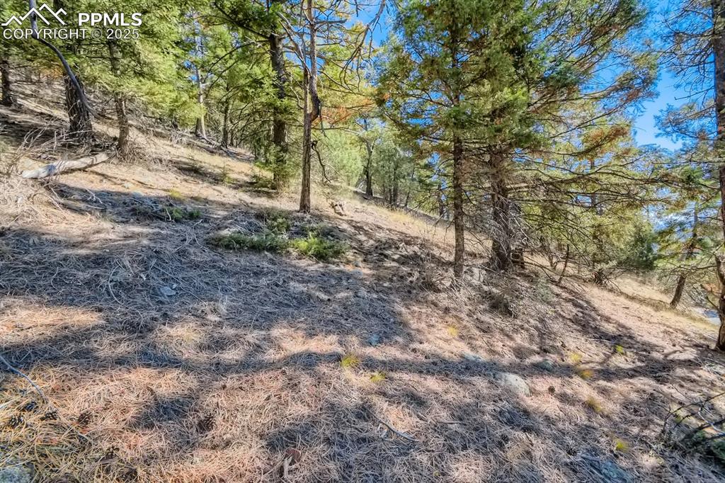 0 Elsie Road Conifer CO 80433