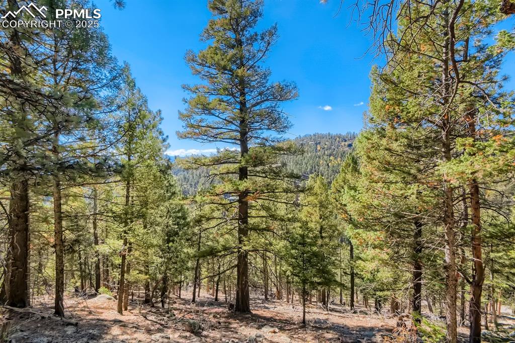 0 Elsie Road Conifer CO 80433